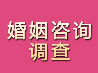 栾川婚姻咨询调查