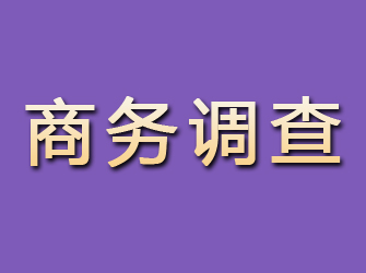 栾川商务调查