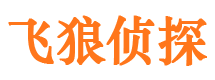 栾川外遇出轨调查取证